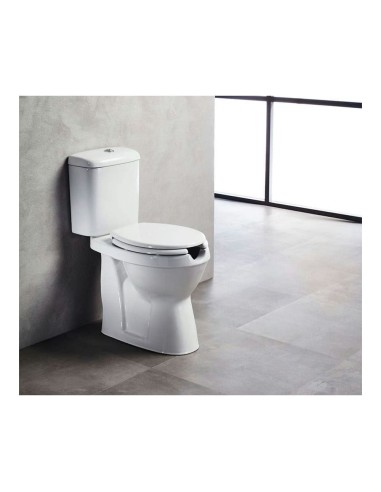 Tema Eco Λεκάνη ΑΜΕΑ με Καζανάκι με...