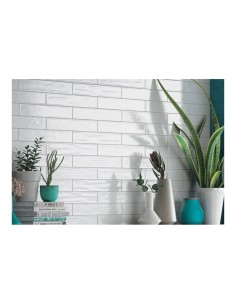 Rondine Le Lacche Bianco... 2