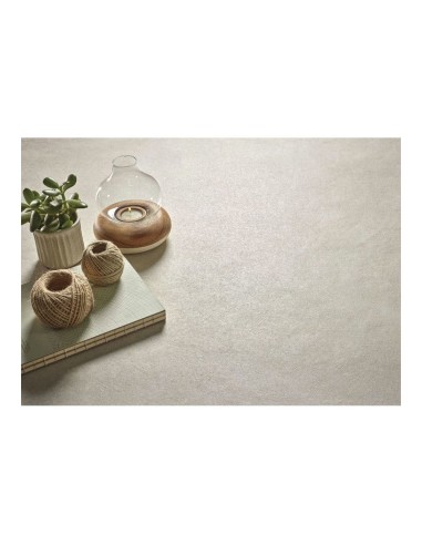 copy of Sanchis Colored Concrete...