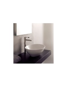 Scarabeo Ovo Επικαθήμενος...